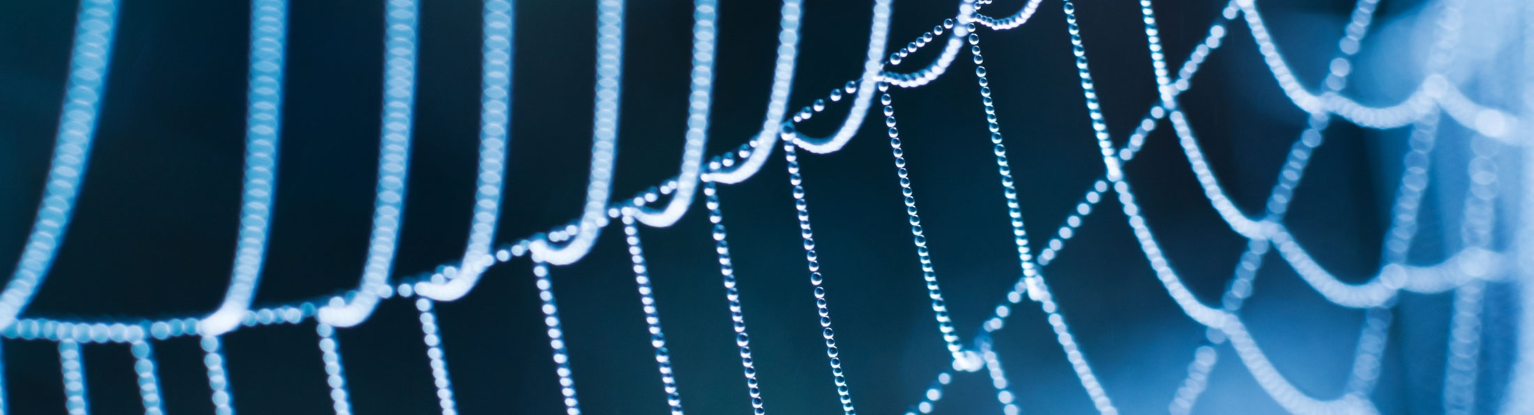 Seide ist jetzt vegan!