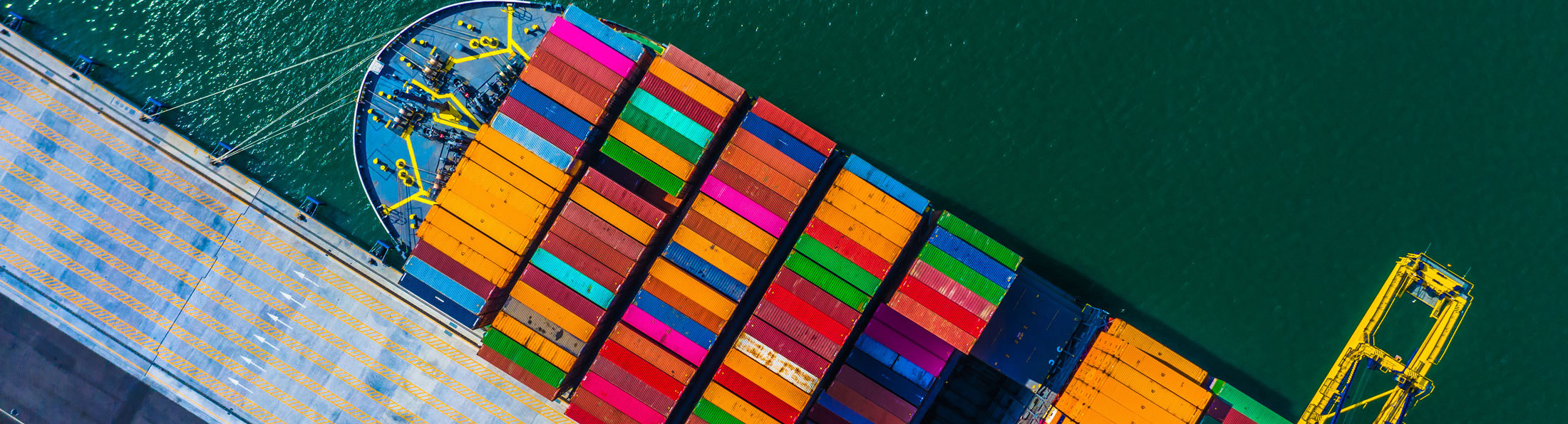 Header Interview mit Prof. Dr. Michael Eßig