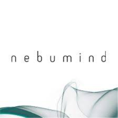 nebumind GmbH Logo